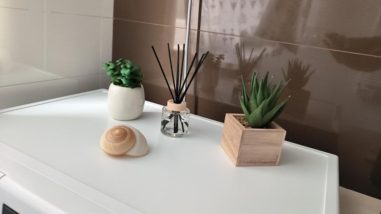 Apartman Sonja 로브란 외부 사진
